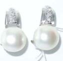 wholesale earrings with mother of pearl and white cz decor on top