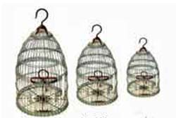 Birds lover store for home decor supply birds iron case